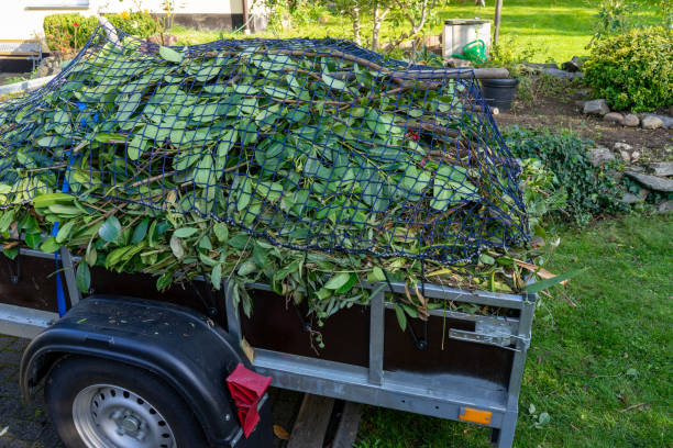 Same-Day Junk Removal Services in New Baltimore, VA